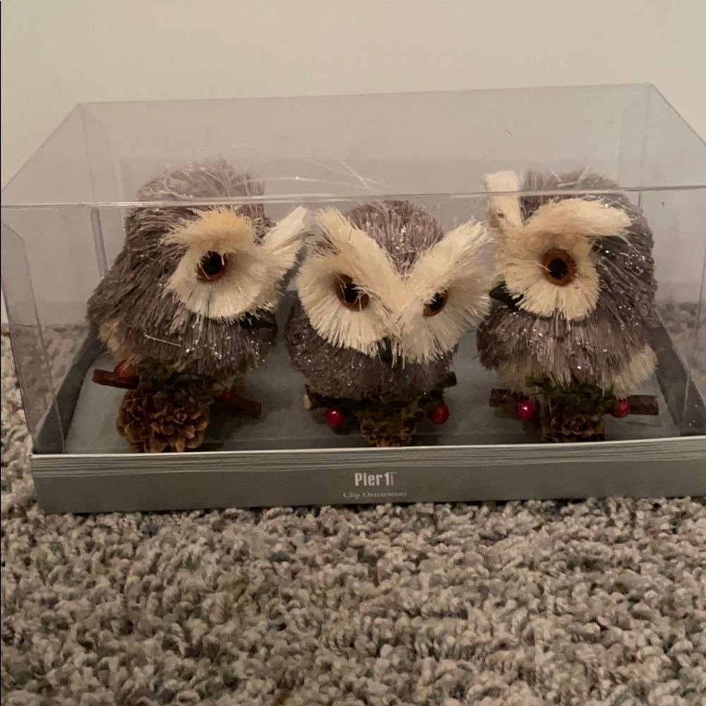 Pier one owl ornament with clip